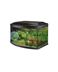 CAYMAN SCENIC 80 LT.150 CAYMAN SCENIC 80 LT.150